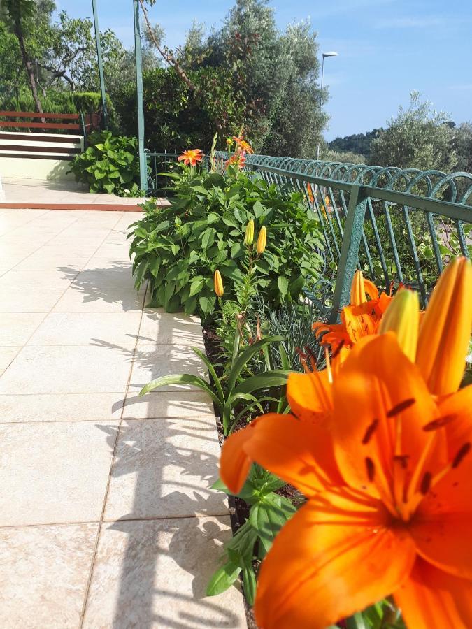 Apartments Simo Petrovac na moru Exterior foto
