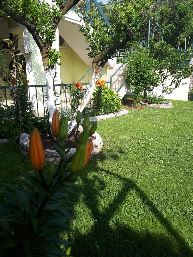 Apartments Simo Petrovac na moru Exterior foto