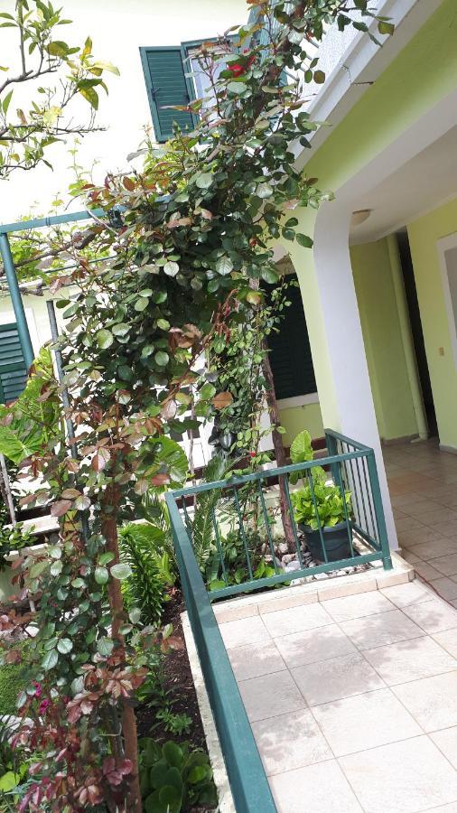 Apartments Simo Petrovac na moru Exterior foto