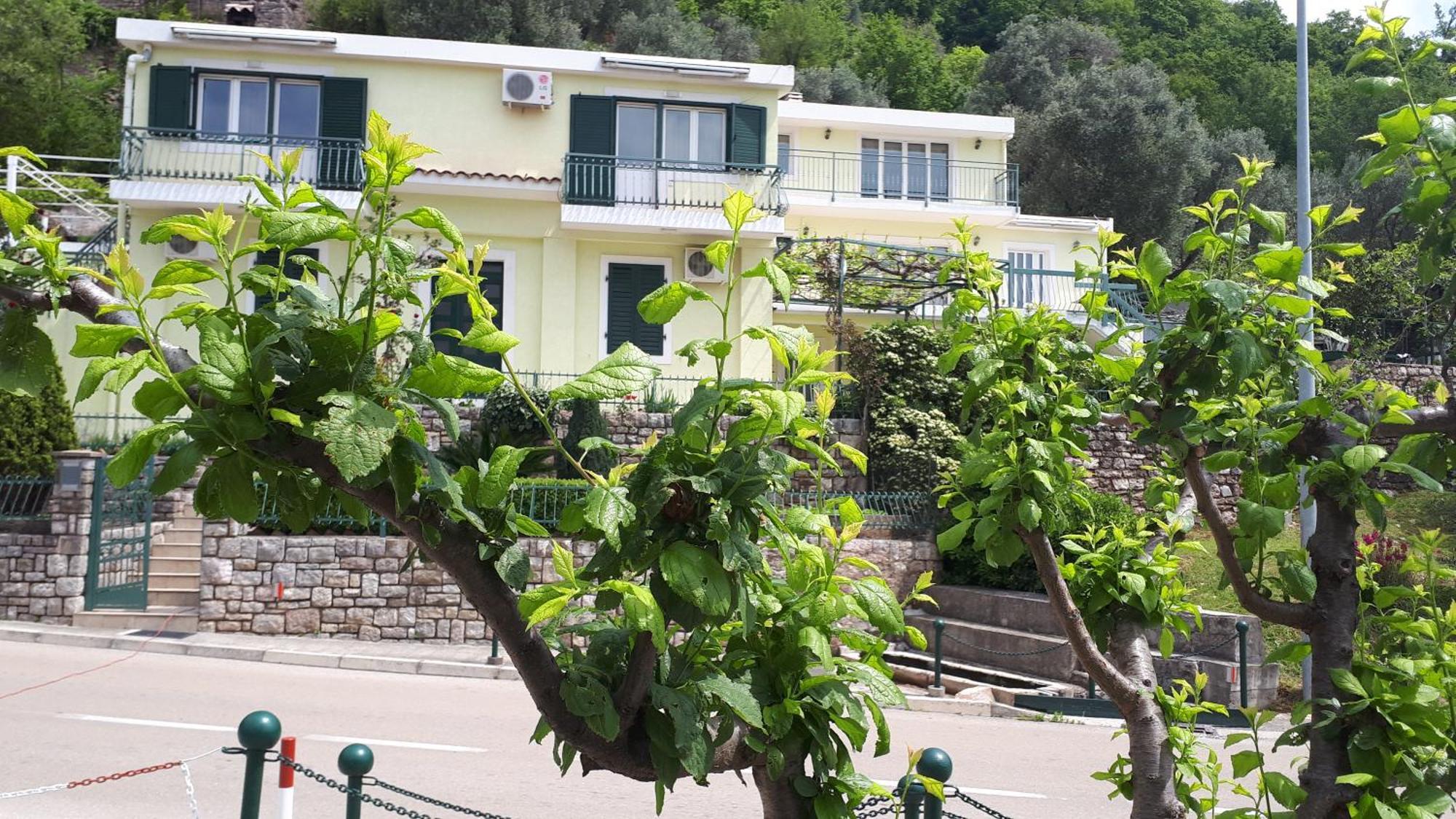 Apartments Simo Petrovac na moru Exterior foto