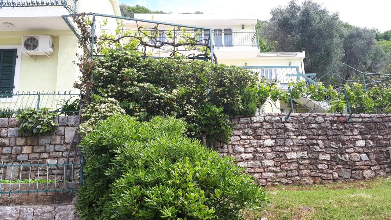 Apartments Simo Petrovac na moru Exterior foto